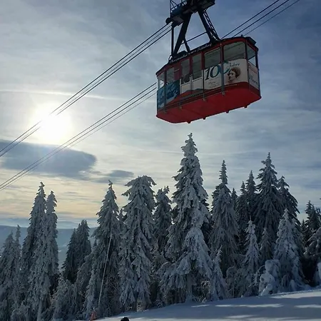 Ferienwohnung Direkt Am Ski Und Rodelhang Oberwiesenthal Zewnętrze zdjęcie