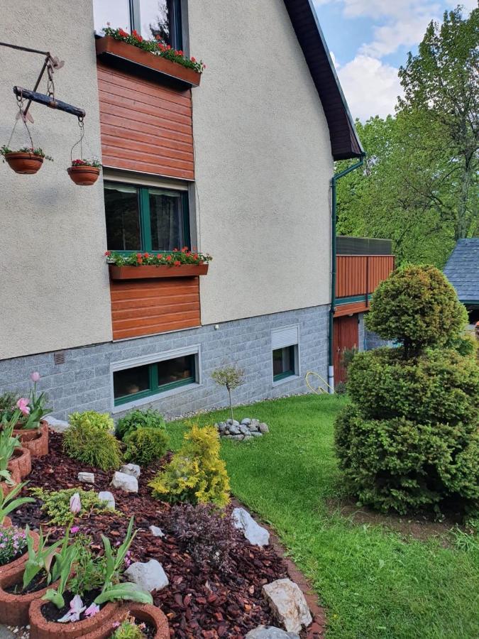 Appartement Direkt Am Und Rodelhang *